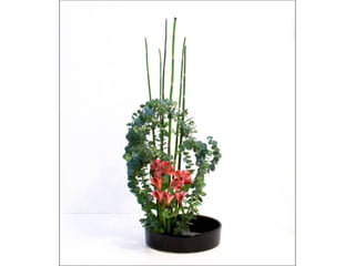 Ikebana  -__ (1)