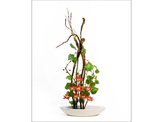 Ikebana  -__ (1)