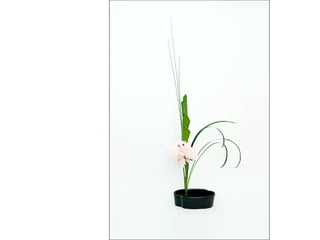 Ikebana  -__ (1)