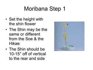 Moribana Step 1  Set the height with the shin flower The Shin may be the same or different from the Soe & the Hikae The Shin should be 10-15° off of vertical to the rear and side 