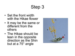 Step 3 Set the front width with the Hikae flower It may be the same or different from the others The Hikae should be lean in the opposite direction as the Shin but at a 75° angle 