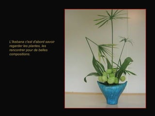 L'Ikebana c'est d'abord savoir regarder les plantes, les rencontrer pour de belles compositions.   