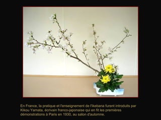 ikebana bolsa