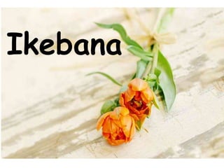 Ikebana
 