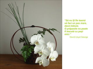 “Să nu îţi fie teamă
să faci un pas mare,
dacă trebuie.
O prăpastie nu poate
fi trecută cu paşi
mici.”
    David Lloyd George
 