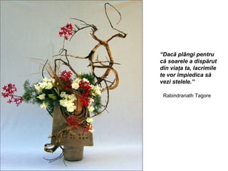 “Dacă plângi pentru
că soarele a dispărut
din viaţa ta, lacrimile
te vor împiedica să
vezi stelele.”

 Rabindranath Tagore
 