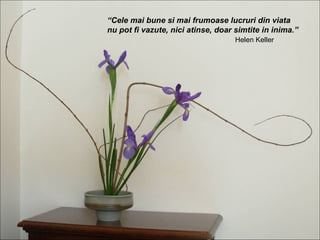 “Cele mai bune si mai frumoase lucruri din viata
nu pot fi vazute, nici atinse, doar simtite in inima.”
                                    Helen Keller
 