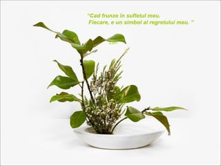“Cad frunze în sufletul meu.
 Fiecare, e un simbol al regretului meu. “


        Zen
 