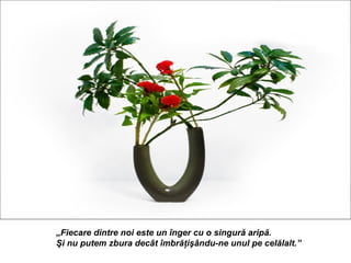 „Fiecare dintre noi este un înger cu o singură aripă.
Şi nu putem zbura decât îmbrăţişându-ne unul pe celălalt.”
 