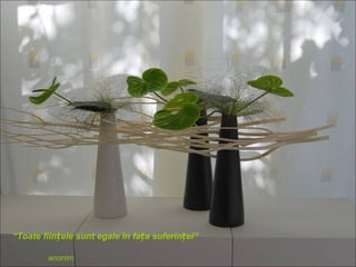 “Toate ființele sunt egale în fața suferinței”

        anonim
 