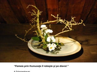 “Femeia prin frumuseţe îl robeşte şi pe diavol.”
 