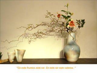 “Ce este frumos este rar. Ce este rar este valoros. “
 