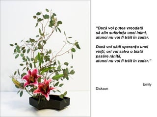 “Dacă voi putea vreodată
să alin suferința unei inimi,
atunci nu voi fi trăit în zadar.

Dacă voi sădi speranța unei
vieți, ori voi salva o biată
pasăre rănită,
atunci nu voi fi trăit în zadar.”




                            Emily
Dickson
 