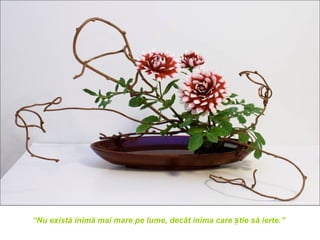 “Nu există inimă mai mare pe lume, decât inima care știe să ierte.”
 