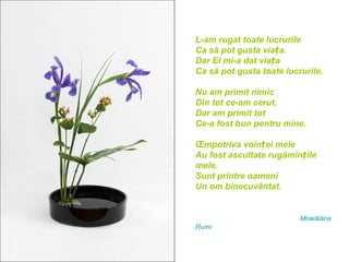 L-am rugat toate lucrurile
Ca să pot gusta viața.
Dar El mi-a dat viața
Ca să pot gusta toate lucrurile.

Nu am primit nimic
Din tot ce-am cerut,
Dar am primit tot
Ce-a fost bun pentru mine.

Împotriva voinței mele
Au fost ascultate rugămințile
mele.
Sunt printre oameni
Un om binecuvântat.


                          Mowālāna
Rumi
 
