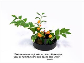 “Ceea ce numim viaţă este un drum către moarte.
Ceea ce numim moarte este poarta spre viaţă.”
                                Anonim
 