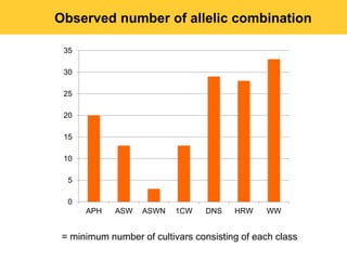 Observed number of allelic combination

 35

 30

 25

 20

 15

 10

  5

  0
      APH    ASW   ASWN    1CW   DNS    HRW    WW


 = minimum number of cultivars consisting of each class
 
