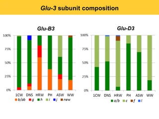 Glu-3 subunit composition


Glu-B3                   Glu-D3
 