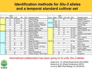 Identification methods for Glu-3 alleles
     and a temporal standard cultivar set




International collaboration has been going on to unify Glu-3 alleles.
                                     Ikeda et al. Int. Wheat Genet Symp O42 (2008)
                                     Ikeda et al. Int. Wheat Conference. (2010)
                                     Liu et al. BMC Plant Biology 10:124 (2010)
 