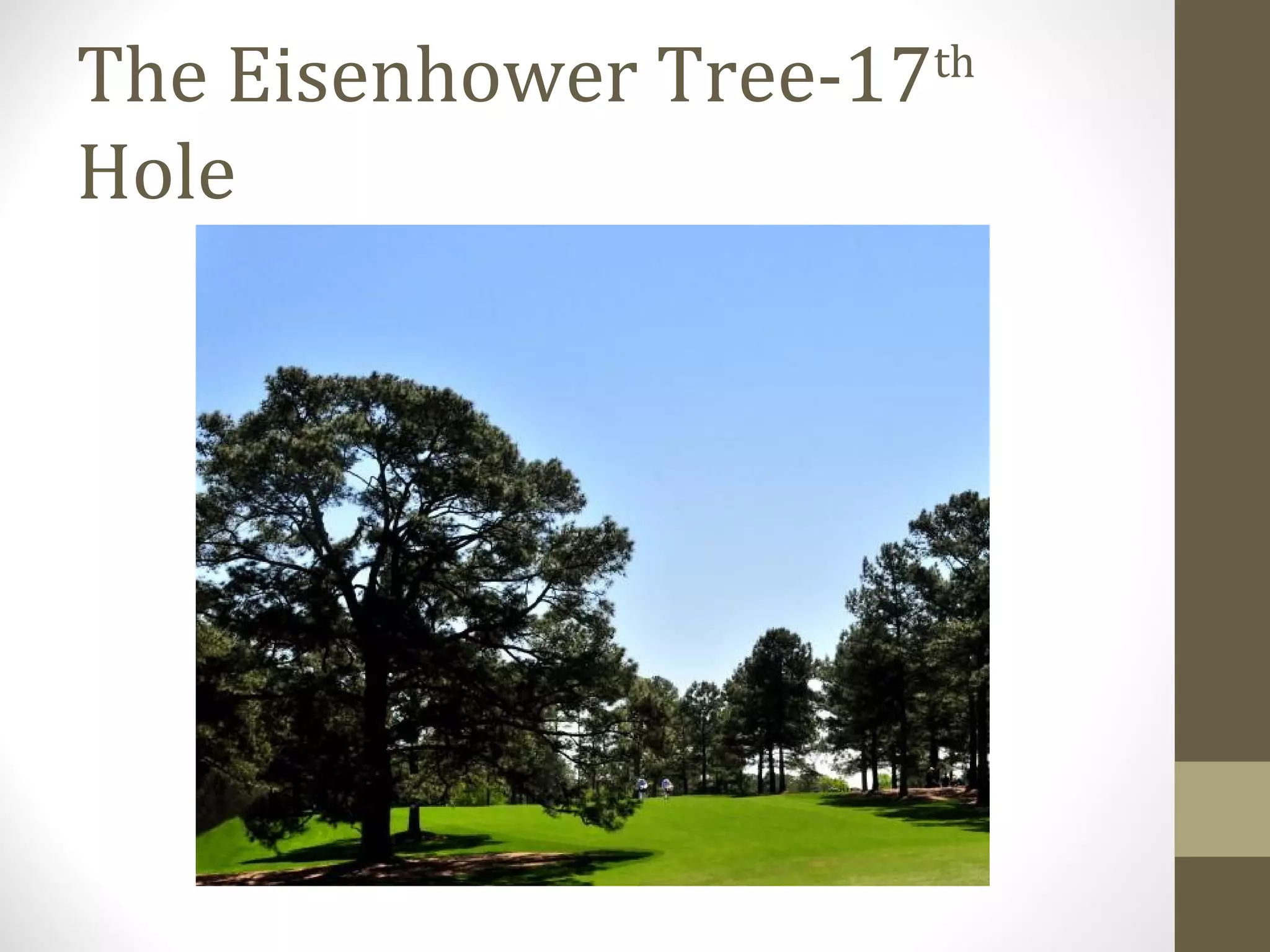 The Eisenhower Tree-17   th

Hole
 
