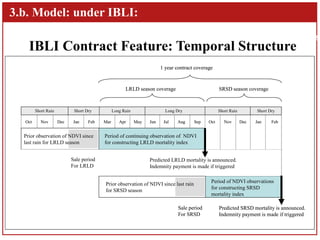Dynamic Effects of Index Based Livestock Insurance on Household Intertemporal Behavior and Welfare