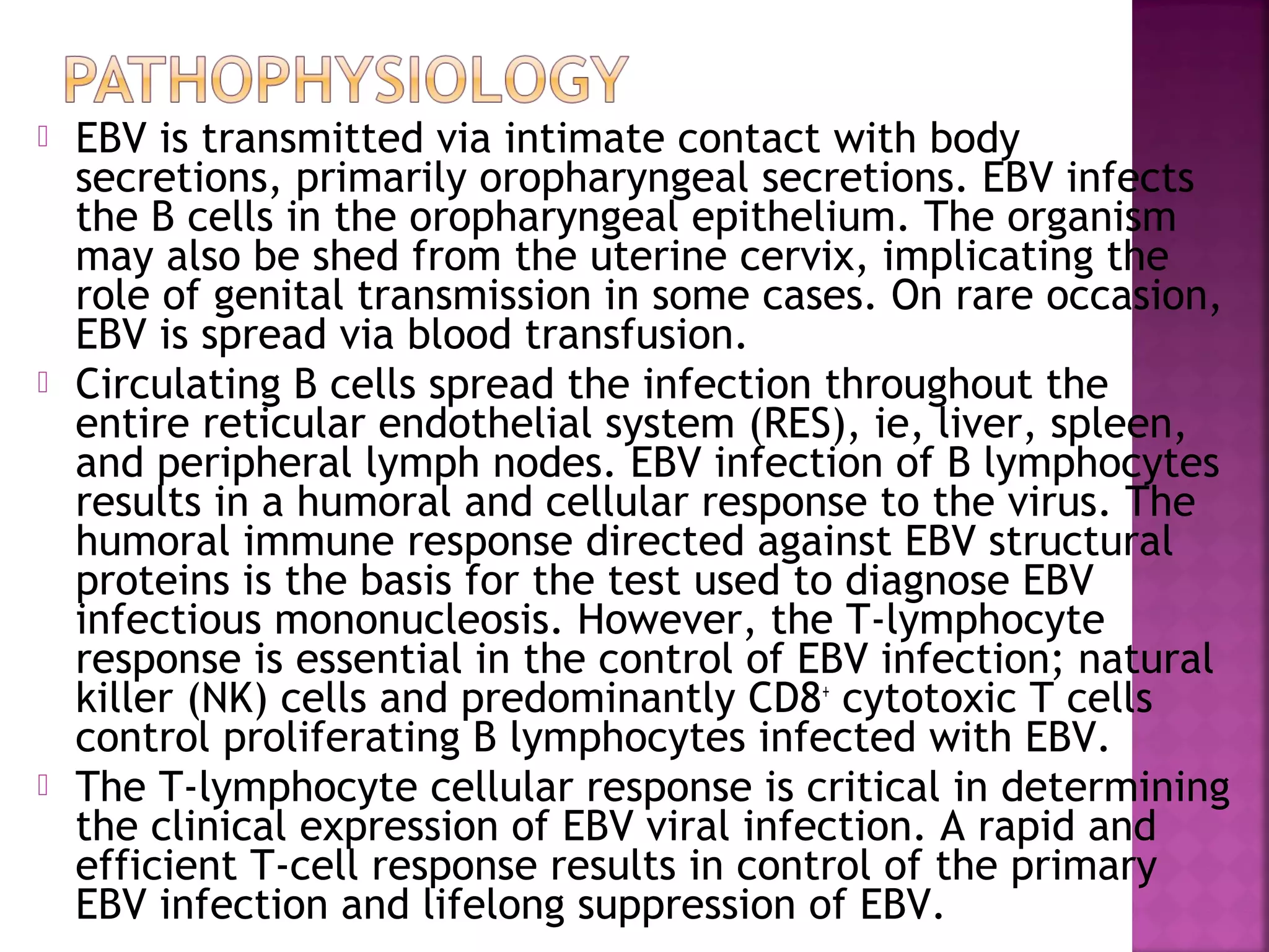  EBV is transmitted via intimate contact with body
secretions, primarily oropharyngeal secretions. EBV infects
the B cells in the oropharyngeal epithelium. The organism
may also be shed from the uterine cervix, implicating the
role of genital transmission in some cases. On rare occasion,
EBV is spread via blood transfusion.
Circulating B cells spread the infection throughout the
entire reticular endothelial system (RES), ie, liver, spleen,
and peripheral lymph nodes. EBV infection of B lymphocytes
results in a humoral and cellular response to the virus. The
humoral immune response directed against EBV structural
proteins is the basis for the test used to diagnose EBV
infectious mononucleosis. However, the T-lymphocyte
response is essential in the control of EBV infection; natural
killer (NK) cells and predominantly CD8+ cytotoxic T cells
control proliferating B lymphocytes infected with EBV.
The T-lymphocyte cellular response is critical in determining
the clinical expression of EBV viral infection. A rapid and
efficient T-cell response results in control of the primary
EBV infection and lifelong suppression of EBV.