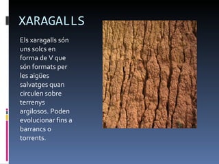 XARAGALLS Els xaragalls són uns solcs en forma de V que són formats per les aigües salvatges quan circulen sobre terrenys argilosos. Poden evolucionar fins a barrancs o torrents. 