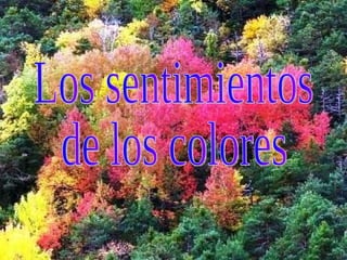 Los sentimientos de los colores