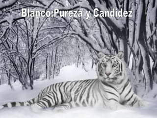 Blanco:Pureza y Candidez