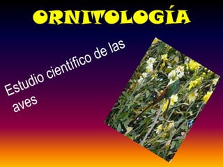 ORNITOLOGÍA