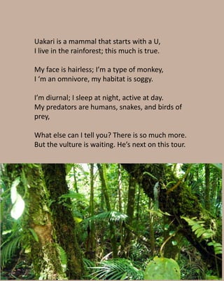 Uakari is a mammal that starts with a U,
I live in the rainforest; this much is true.
My face is hairless; I’m a type of m...