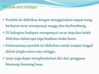 Pondok satu minggu
 Pondok ini didirikan dengan menggunakan empat tiang,
berlantai serta mempunyai tangga dan berbumbung.
 Di bahagian hadapan mempunyai cucur atap dan boleh
didirikan dalam apa juga keadaan muka bumi.
 Kebiasaannya pondok ini didirikan untuk tempat tinggal
dalam jangka masa satu minggu.
 Ianya juga dapat menghindarkan diri dari gangguan
binatang-binatang buas.
 