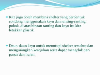  Kita juga boleh membina shelter yang berbentuk
condong menggunakan kayu dan ranting-ranting
pokok, di atas binaan ranting dan kayu itu kita
letakkan plastik.
 Daun-daun kayu untuk menutupi shelter tersebut dan
mengurangkan kesejukan serta dapat mengelak dari
panas dan hujan.
 