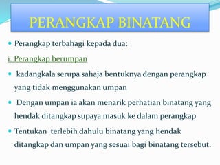 Perangkap terbahagi kepada dua:
i. Perangkap berumpan
 kadangkala serupa sahaja bentuknya dengan perangkap
yang tidak menggunakan umpan
 Dengan umpan ia akan menarik perhatian binatang yang
hendak ditangkap supaya masuk ke dalam perangkap
 Tentukan terlebih dahulu binatang yang hendak
ditangkap dan umpan yang sesuai bagi binatang tersebut.
PERANGKAP BINATANG
 