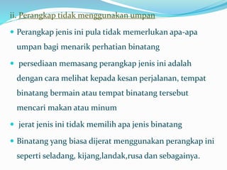 ii. Perangkap tidak menggunakan umpan
 Perangkap jenis ini pula tidak memerlukan apa-apa
umpan bagi menarik perhatian binatang
 persediaan memasang perangkap jenis ini adalah
dengan cara melihat kepada kesan perjalanan, tempat
binatang bermain atau tempat binatang tersebut
mencari makan atau minum
 jerat jenis ini tidak memilih apa jenis binatang
 Binatang yang biasa dijerat menggunakan perangkap ini
seperti seladang, kijang,landak,rusa dan sebagainya.
 