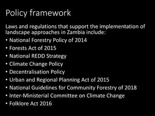 Operationalising the landscape approach for biodiversity benefits: Policy, practice and people