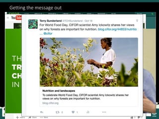 Operationalising the landscape approach for biodiversity benefits: Policy, practice and people