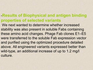 -Results of Biophysical and antigen binding
properties of selected variants
We next wanted to determine whether increased
stability was also present in soluble Fabs containing
these amino acid changes. Phage Fab clones E1–E5
were transferred to the soluble Fab expression vector
and purified using the optimized procedure detailed
above. All engineered variants expressed better than
wild-type, an additional increase of up to 1.2 mg/l
culture.
 