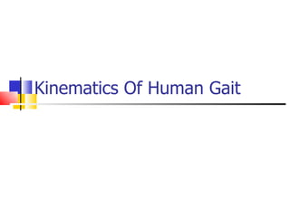 Kinematics Of Human Gait 