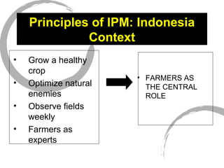 Principles of IPM: Indonesia
Context
• Grow a healthy
crop
• Optimize natural
enemies
• Observe fields
weekly
• Farmers as
experts
• FARMERS AS
THE CENTRAL
ROLE
 