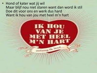 • Hond of kater wat jij wil
Maar blijf nou niet staren want dan word ik stil
Doe dit voor ons en werk dus hard
Want ik hou van jou met heel m'n hart

 