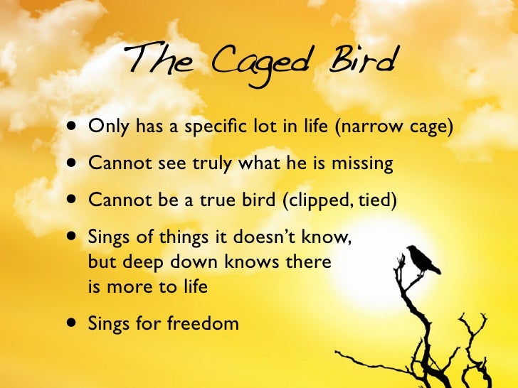 I Know Why the Caged Bird Sings