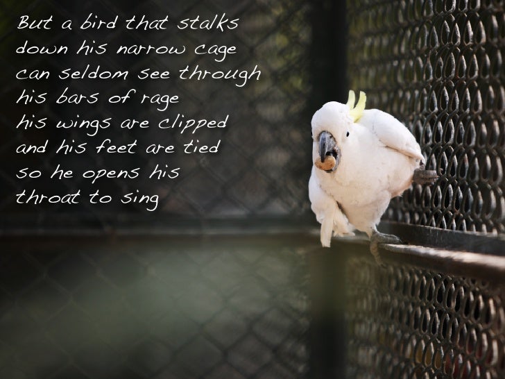 I Know Why The Caged Bird Sings