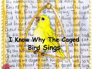 why the caged bird sings summary