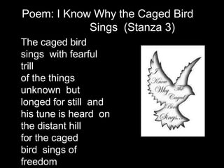 The caged bird
sings with fearful
trill
of the things
unknown but
longed for still and
his tune is heard on
the distant hill
for the caged
bird sings of
freedom
Poem: I Know Why the Caged Bird
Sings (Stanza 3)
 