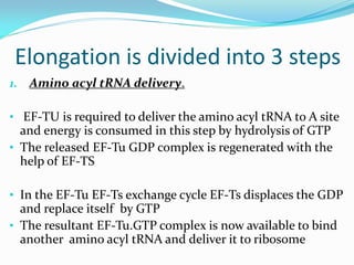 Elongation is divided into 3 steps
1. Amino acyl tRNA delivery.
• EF-TU is required to deliver the amino acyl tRNA to A site
and energy is consumed in this step by hydrolysis of GTP
• The released EF-Tu GDP complex is regenerated with the
help of EF-TS
• In the EF-Tu EF-Ts exchange cycle EF-Ts displaces the GDP
and replace itself by GTP
• The resultant EF-Tu.GTP complex is now available to bind
another amino acyl tRNA and deliver it to ribosome
 