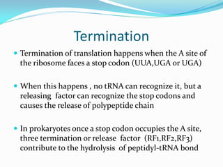 Termination
 Termination of translation happens when the A site of
the ribosome faces a stop codon (UUA,UGA or UGA)
 When this happens , no tRNA can recognize it, but a
releasing factor can recognize the stop codons and
causes the release of polypeptide chain
 In prokaryotes once a stop codon occupies the A site,
three termination or release factor (RF1,RF2,RF3)
contribute to the hydrolysis of peptidyl-tRNA bond
 
