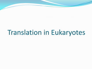 Translation in Eukaryotes
 