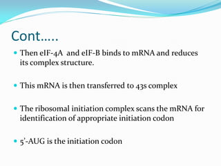 Cont…..
 Then eIF-4A and eIF-B binds to mRNA and reduces
its complex structure.
 This mRNA is then transferred to 43s complex
 The ribosomal initiation complex scans the mRNA for
identification of appropriate initiation codon
 5’-AUG is the initiation codon
 