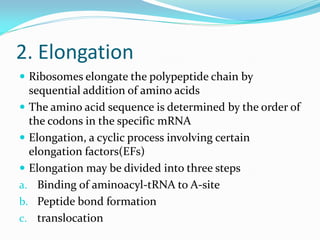 2. Elongation
 Ribosomes elongate the polypeptide chain by
sequential addition of amino acids
 The amino acid sequence is determined by the order of
the codons in the specific mRNA
 Elongation, a cyclic process involving certain
elongation factors(EFs)
 Elongation may be divided into three steps
a. Binding of aminoacyl-tRNA to A-site
b. Peptide bond formation
c. translocation
 